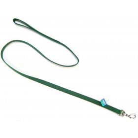 Coastal Pet Nylon Lead (Option 2: 4' Long x 5/8" Wide, Option 1: Hunter Green)